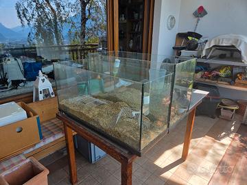 vasca per acquario/gerbillario/rettilario