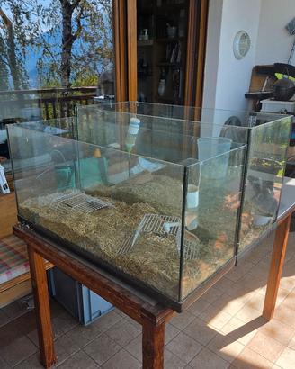 vasca per acquario/gerbillario/rettilario