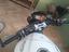 Immagine 2