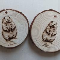 marmotta in legno a fette grezzo 🌲