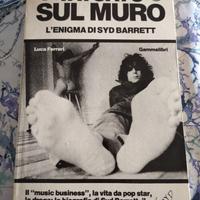 Tatuato sul muro Syd Barrett Gammalibri