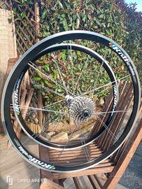 Ruote Rolf bici da corsa