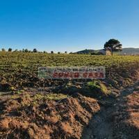 NAPOLA - Terreno agricolo di 23.000 mq ca
