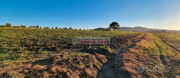 NAPOLA - Terreno agricolo di 23.000 mq ca