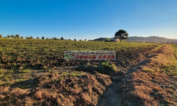 NAPOLA - Terreno agricolo di 23.000 mq ca