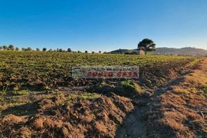 NAPOLA - Terreno agricolo di 23.000 mq ca