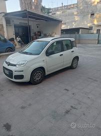 FIAT Panda 3ª serie - 2014