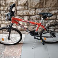 BICICLETTA MOUNTAIN BIKE