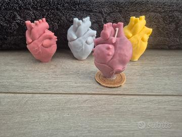 candela cuore anatomico 