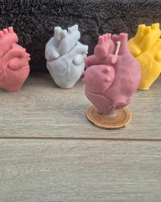 candela cuore anatomico 