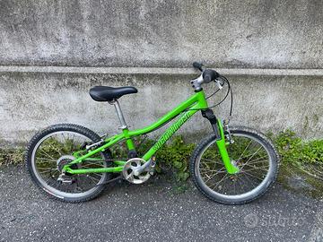 Mountain bike