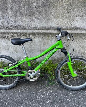 Mountain bike