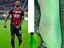 Immagine 6