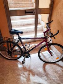 Mountain bike Giant Terrago e Mountain bike Frejus