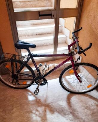 Mountain bike Giant Terrago e Mountain bike Frejus