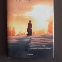 Romanzo "Ci proteggerà la neve "