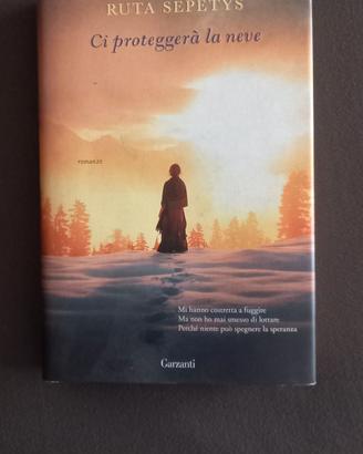 Romanzo "Ci proteggerà la neve "