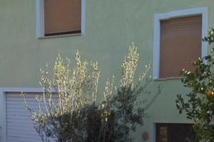 LAST MINUTE: Trilocale Indipendente climatizzato