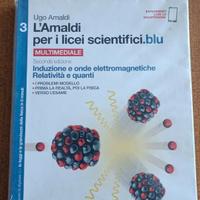 l'amaldi per licei scientifici blu 3