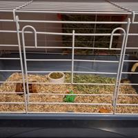 Gabbia coniglio/criceto
