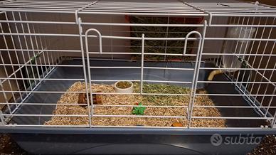 Gabbia coniglio/criceto
