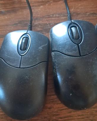 mouse
