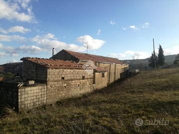 CASA INDIPENDENTE A POTENZA