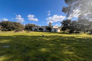 Fabbricato rurale categoria D10 - Loc. Carrabuffas