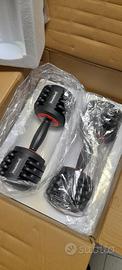 Pesi Dumbbell 2 manubri