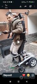 carrozzina per disabili con sollevatore