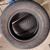 Pneumatici invernali