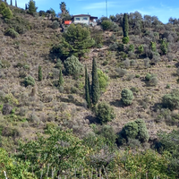 Tre porzioni di terreno zona San Giovanni- Sanremo