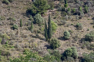 Tre porzioni di terreno zona San Giovanni- Sanremo