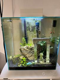 Acquario Fluval Edge 46 litri