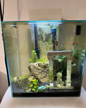 Acquario Fluval Edge 46 litri
