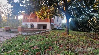 Cave, indipendente e terreno su unico livello