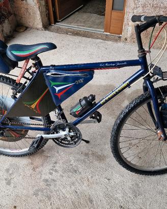 Mountain Bike Frecce Tricolore