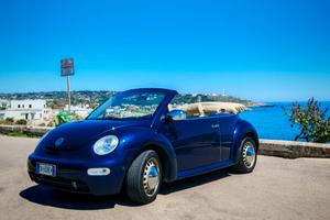 new beetle 