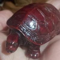 tartarugina simpatica. 