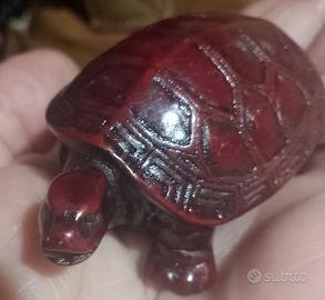 tartarugina simpatica. 