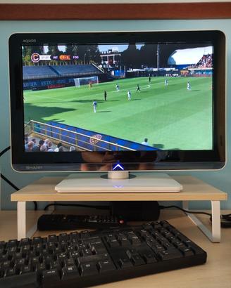 TV SHARP 19"