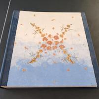 Album per fotografie