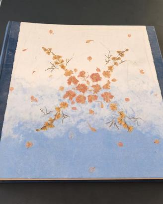 Album per fotografie