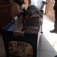 box bambini da campeggio 