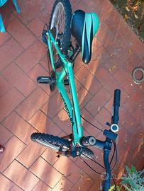 Bicletta da ragazzi bottecchia 20'' verde fluo