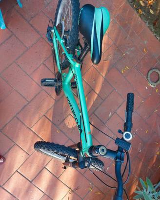 Bicletta da ragazzi bottecchia 20'' verde fluo