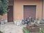 Immagine 3