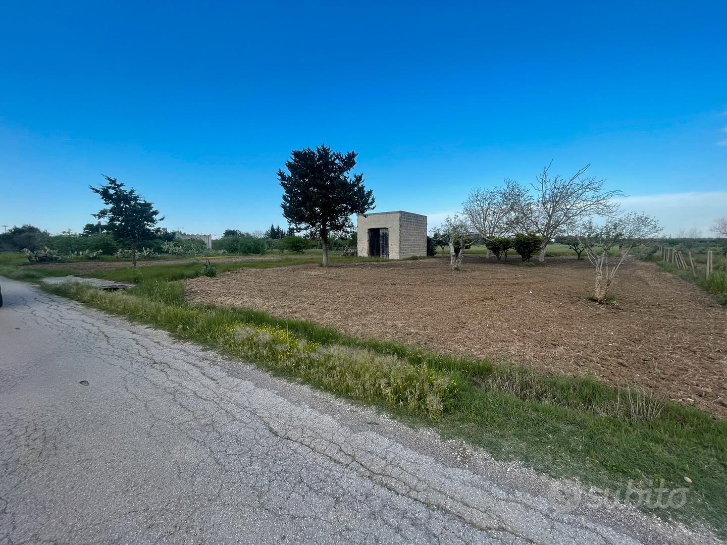 Terreno agricolo edificabile in c/d Camarda - Vista 3