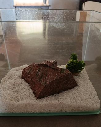 acquario per betta