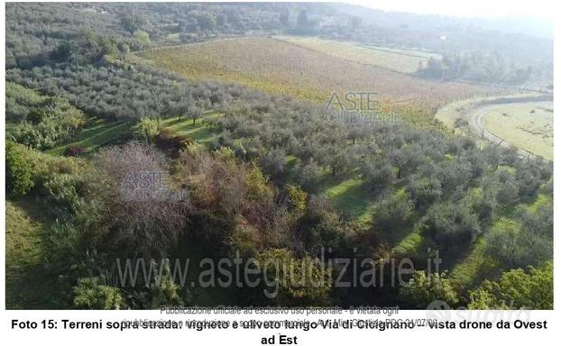 Terreno Agricolo Montemurlo [A4302386]